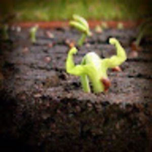 Meet your Posher, Carmen